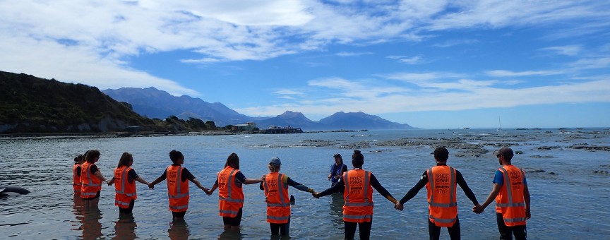 Project Jonah Training members of the public at Kaikoura 2